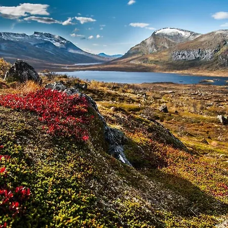 Saga Trollheimen