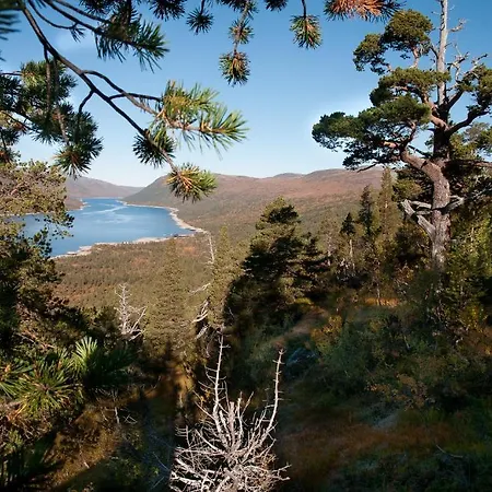 Saga Trollheimen Rindal