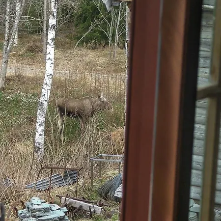 Hotell Saga Trollheimen Rindal