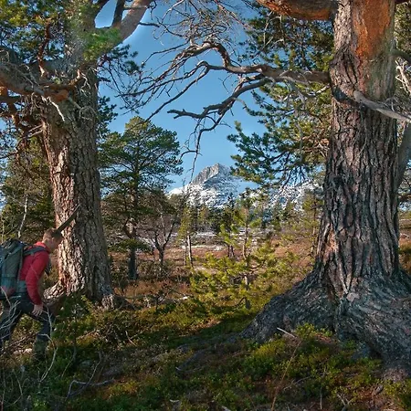 Hotell Saga Trollheimen