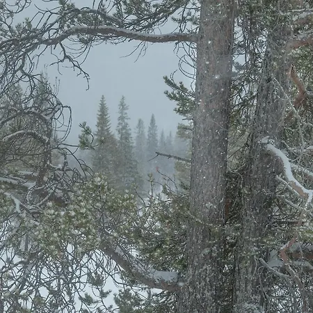 Saga Trollheimen Hotel