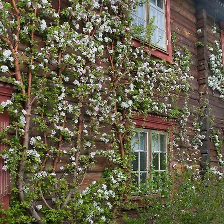 Saga Trollheimen Hotel *