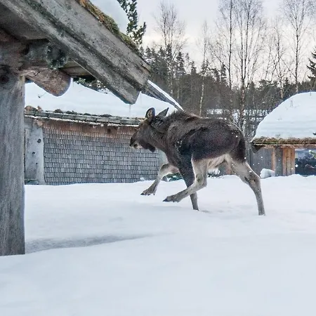 Saga Trollheimen Hotell Rindal