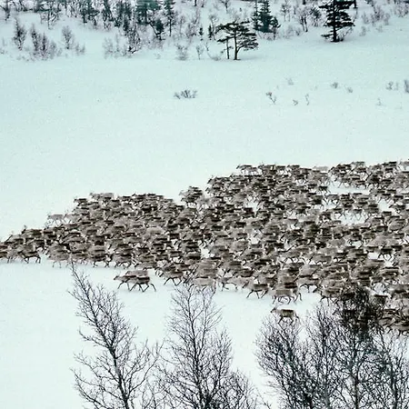 Saga Trollheimen Hotel Rindal