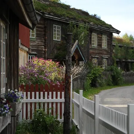 Saga Trollheimen Rindal