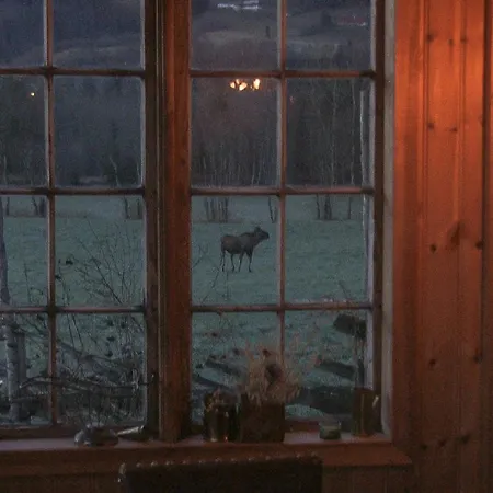 Saga Trollheimen * Rindal